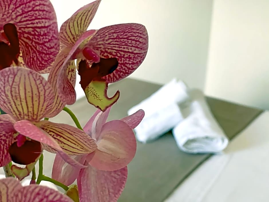 B & B Vilenia San Nicola Arcella