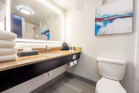 1 King Bed, Studio Suite, Non-Smoking