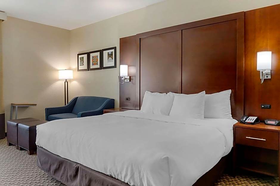 Comfort Inn & Suites Near Six Flags & Medical Center