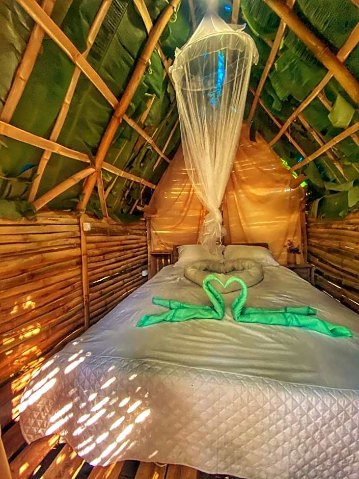 Green House Chalé, hostel e pousada