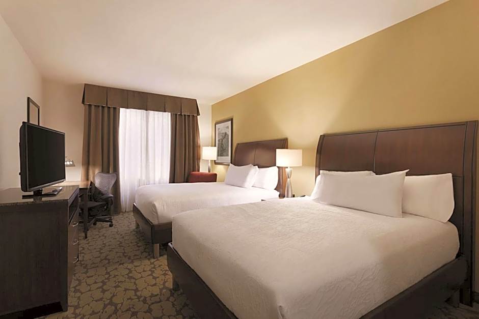 Hilton Garden Inn Rochester Downtown