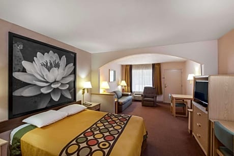 1 Queen Bed Accessible Room Smoking