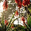 Thylitshia Villa Country Guest House
