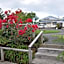 Kauri Villas