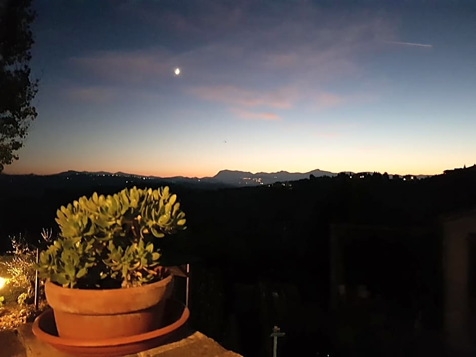 Il Vecchio Pioppo