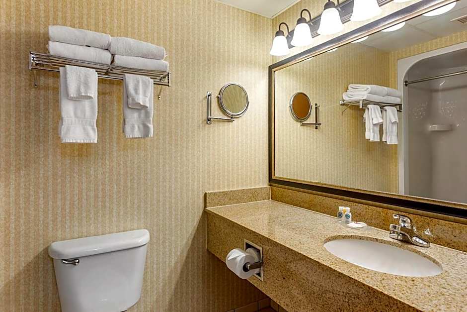 Comfort Inn & Suites Branson Meadows