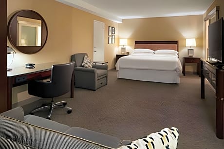 Guest room, 1 King, Sofa bed