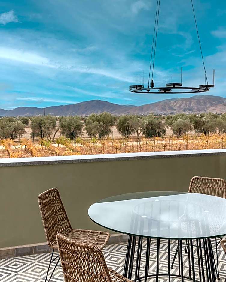 Hotel Andana Winery & Spa