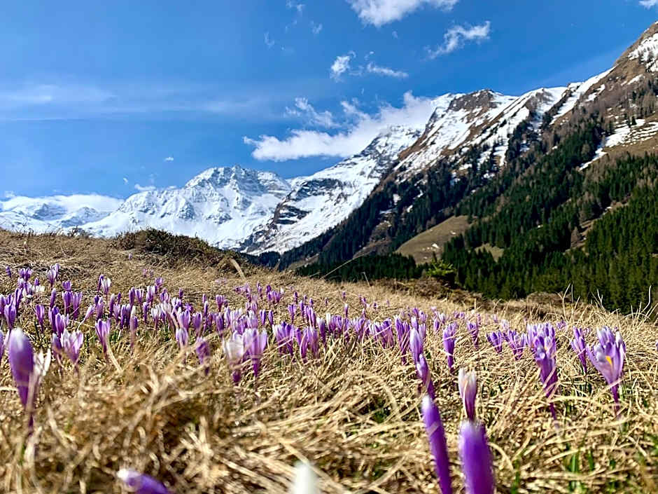 Haus Standlgut Rauris -- incl Sommercard
