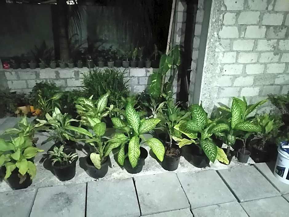 The Rose Garden House, Addu City, Maldives