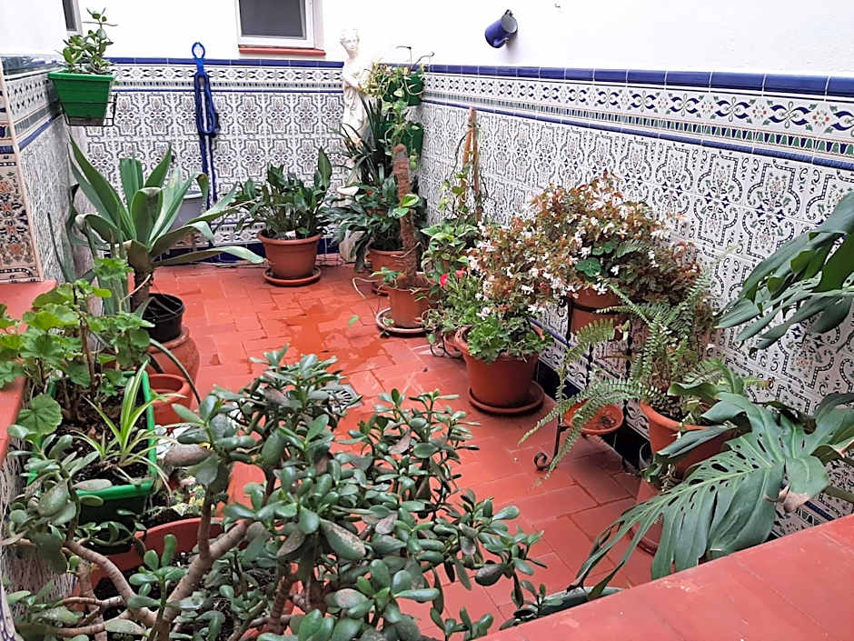 Sotel Valle Guadiaro