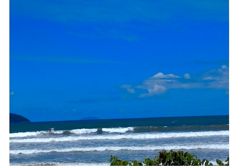 Mata Atl¿ica Chal¿- Praia da Lagoinha, Ubatuba - SP