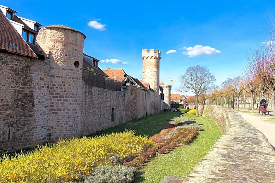 VVF Plaine d'Alsace Obernai Strasbourg