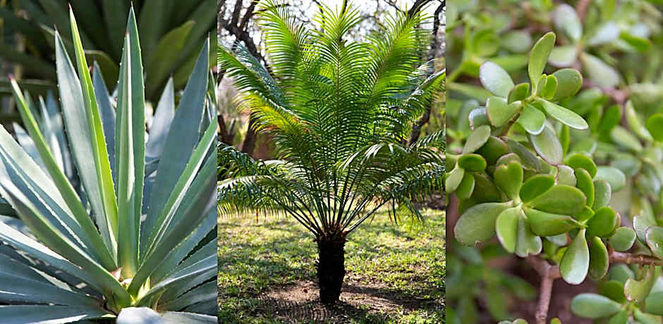 Blyde River Canyon Lodge