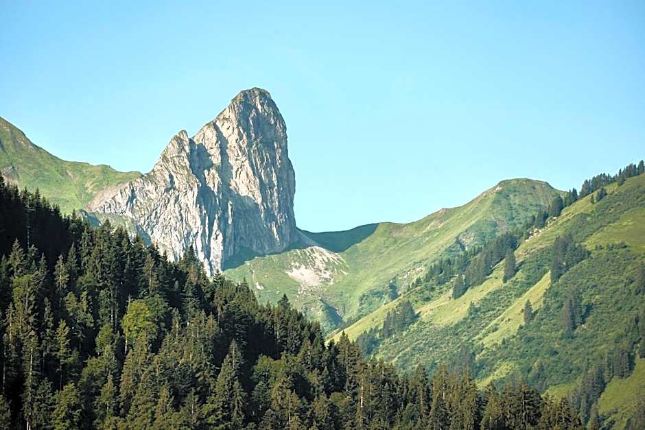 BOUTIQUEHOTEL das edelweiss