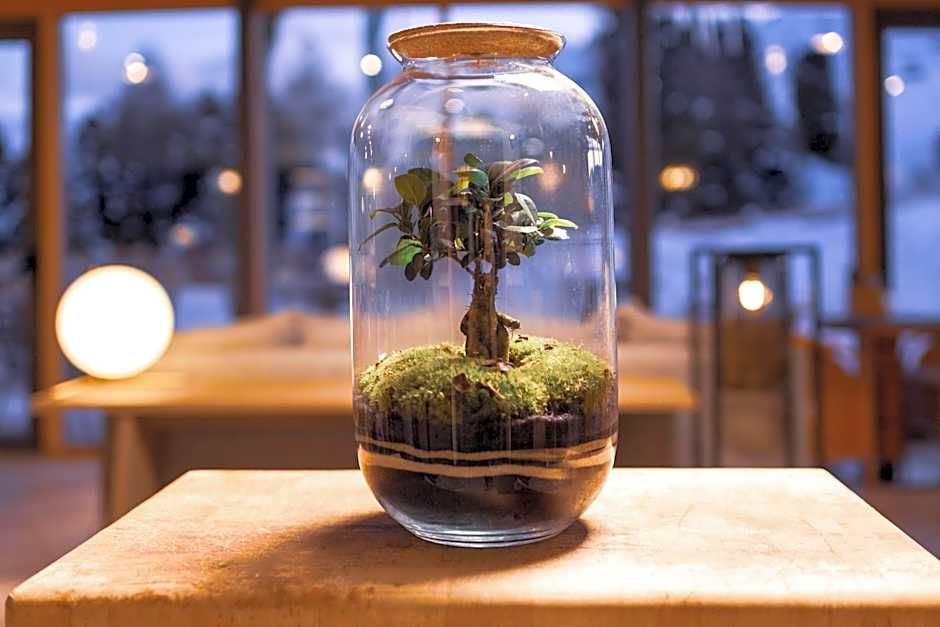 Paradiso Pure Living Vegan Hotel