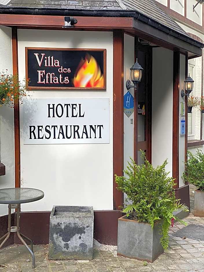 Parkhotel Villa des Effats Vielsalm