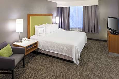 One-Bedroom King Suite with Bathtub and Sofa Bed - Mobility Access