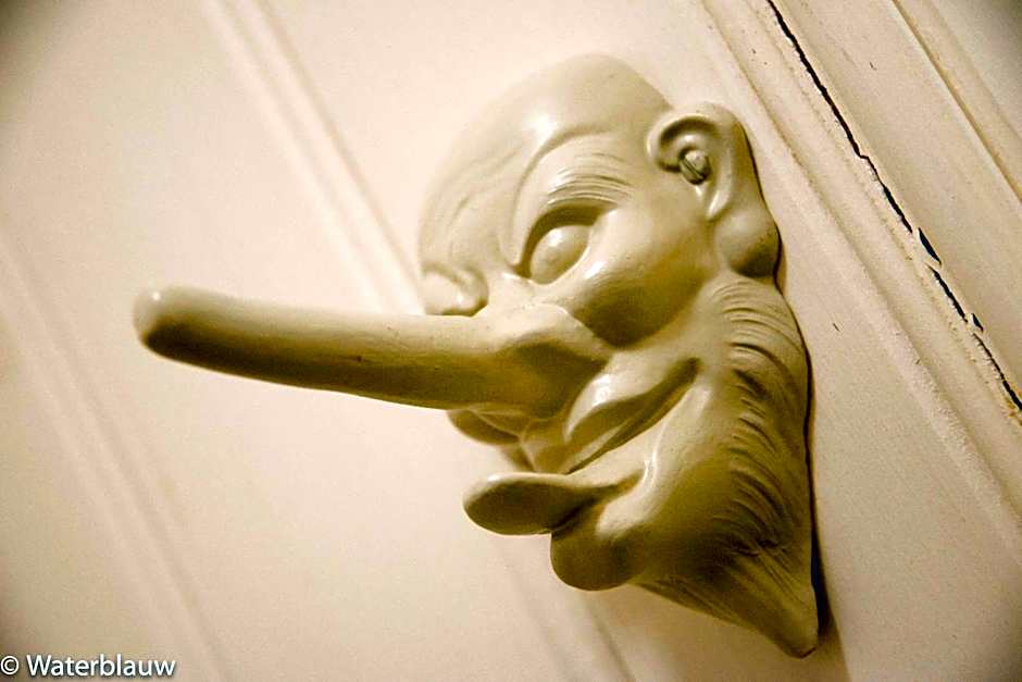 Logement aan de Vecht