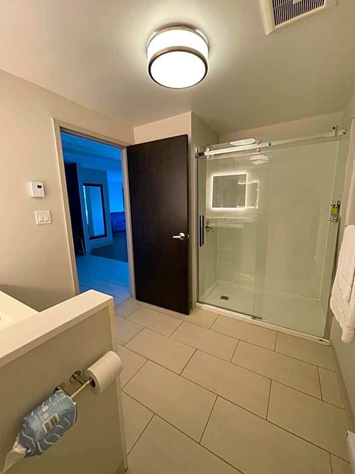 Holiday Inn Express & Suites Gatineau - Ottawa By IHG