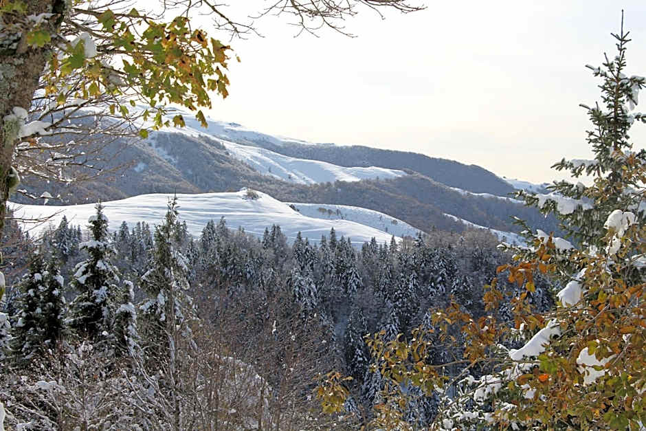 VVF Le Lioran Les Monts du Cantal