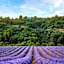 Domaine Ribiera, Hotel 5 Etoiles, SPA & Golf - Forcalquier