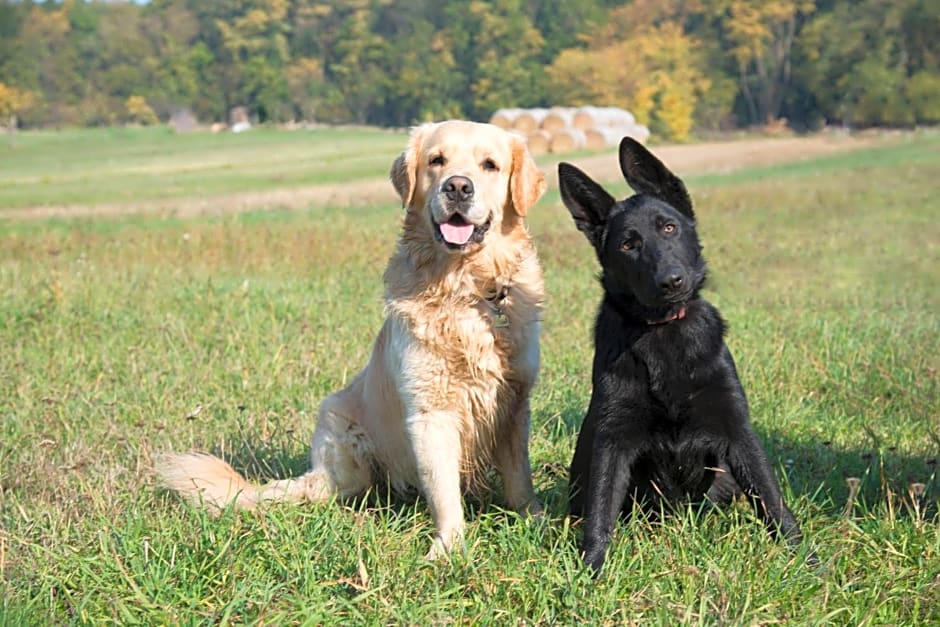 Ranchzimmer am Hippo-Campus Reit- und Therapiezentrum