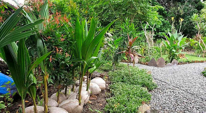 SAME SAME Bungalows - ECO Friendly