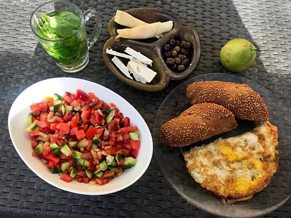 Myrtle the Turtle Guesthouse