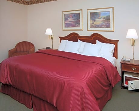 King Room - Non-Smoking