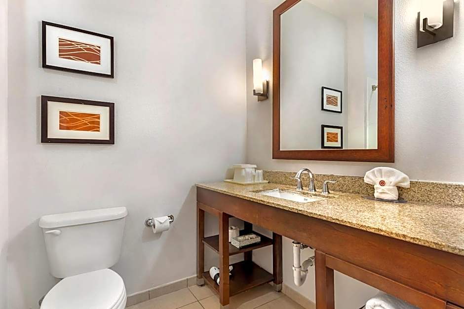 Comfort Inn & Suites Red Oak - Dallas Area