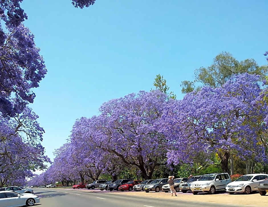 Andavine House - Bed & Breakfast