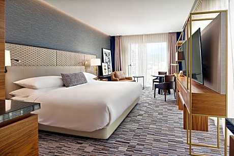 Deluxe Guest room with 1 King