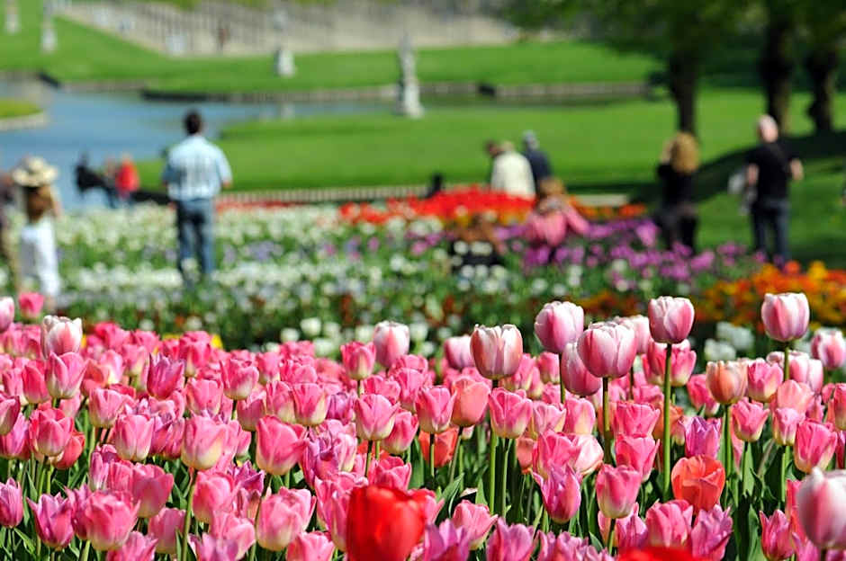 Holiday Inn Express & Suites Asheville SW - Outlet Ctr Area By IHG