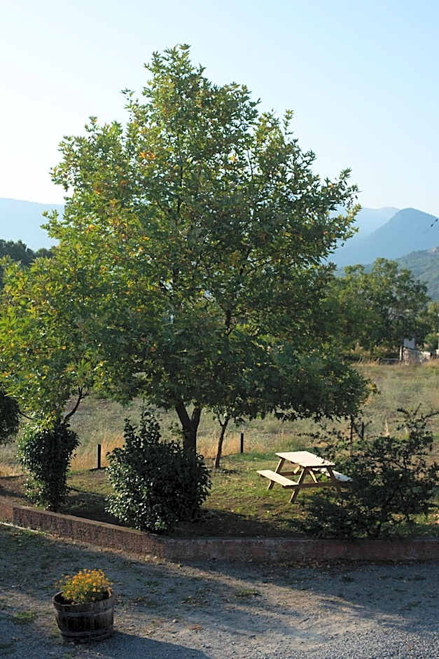 Orias Guesthouse & Farm