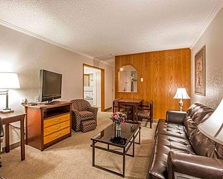 1 King Bed Suite Nonsmoking