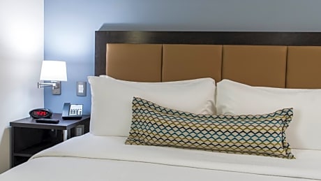 1 King Bed Studio Suite