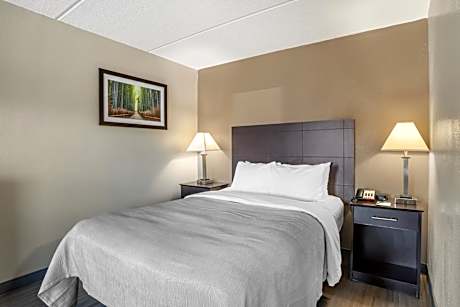 King Suite with Sofa Bed - Non Smoking