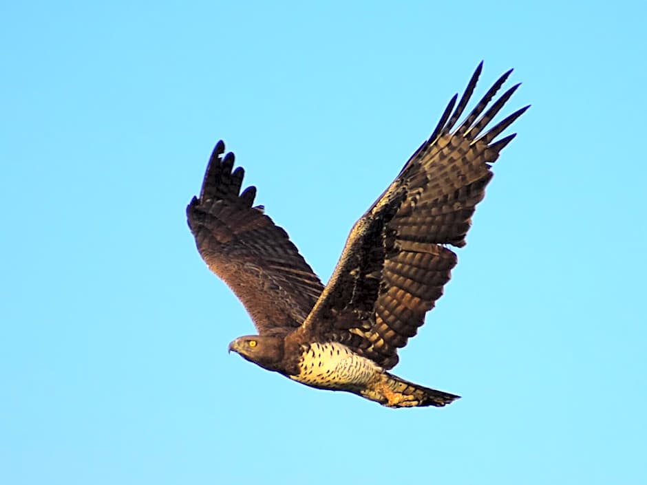 Lake Elmenteita Serena Camp