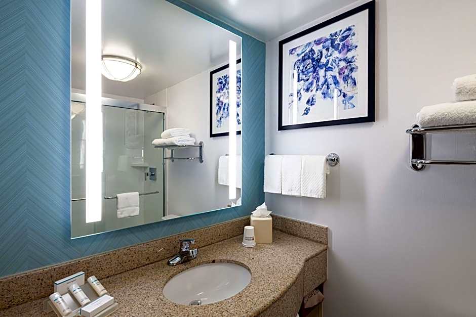 Hilton Garden Inn Chicago O' Hare