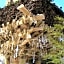 Guest House Seisenso