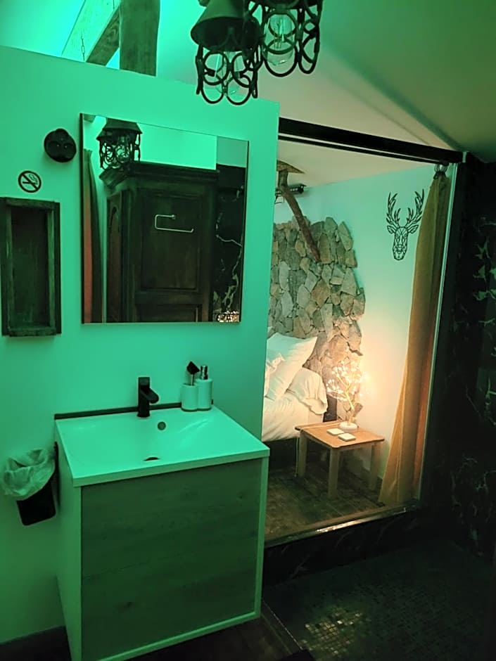 LOVE Room Danslesbois avec spa