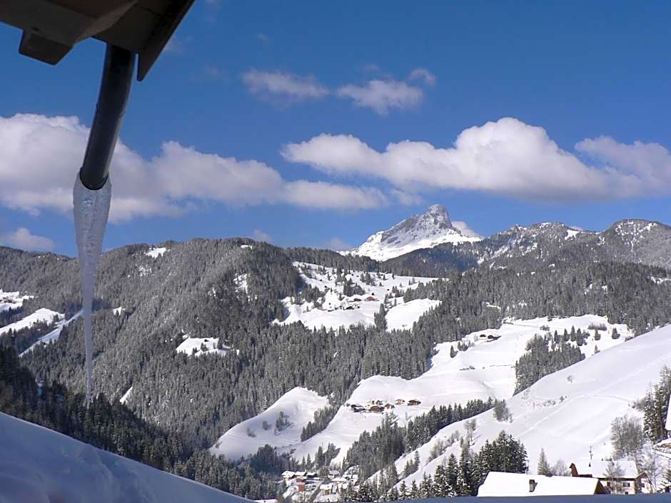 Hotel Alpenrose Dolomites