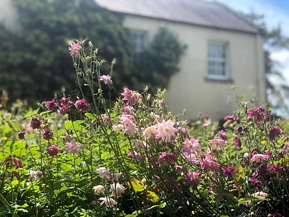 Dalton House Bed and Breakfast