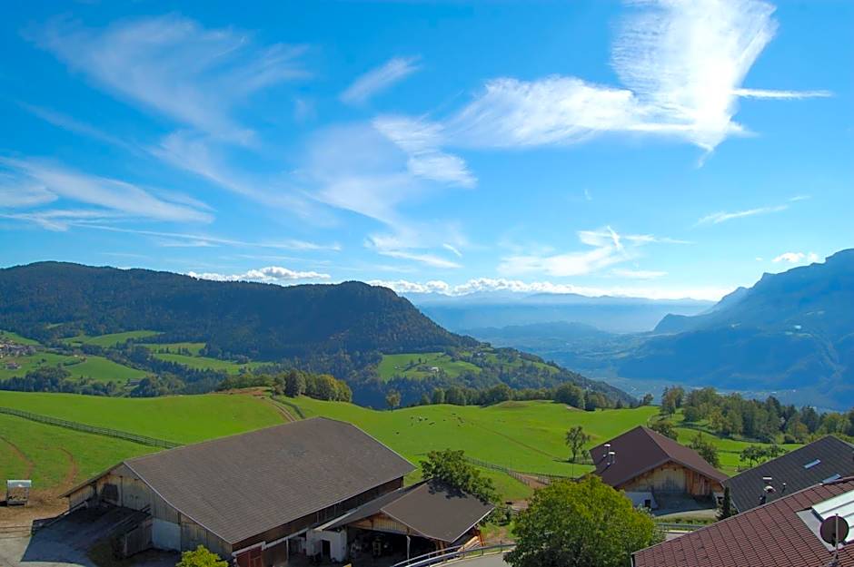 Pension Schlaneiderhof