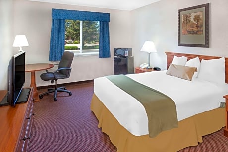 1 King Bed Non-Smoking