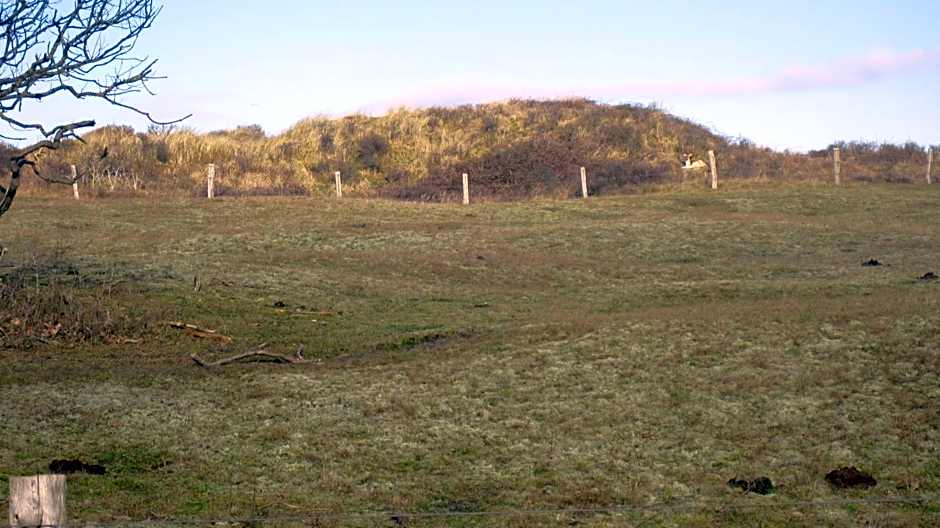 Hotel Restaurant Anno Nu