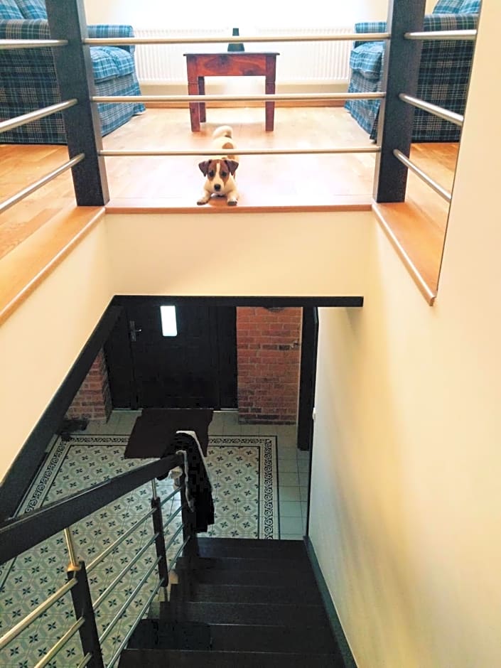 Stara Szkola Trzcin 20