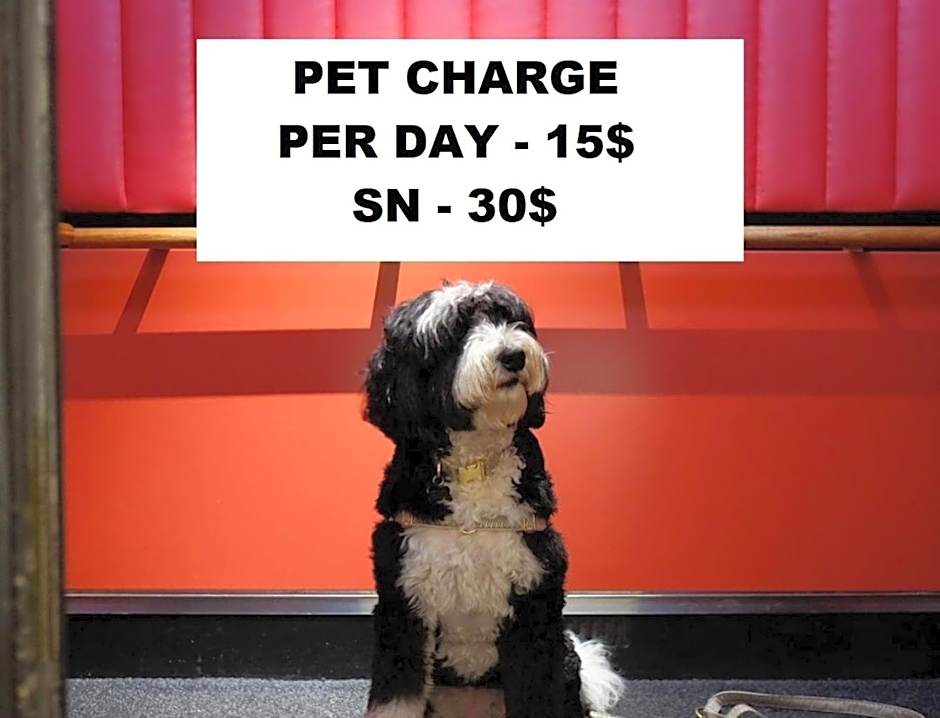 Super 8 by Wyndham Paris IL