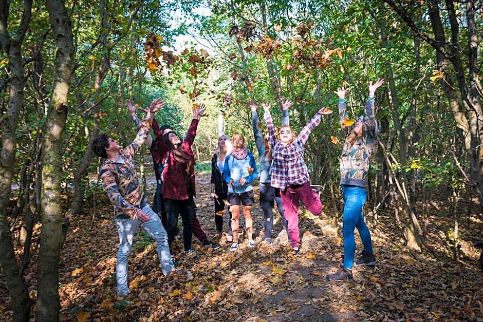 The Flying Pig Beach Hostel Age 18 to 40